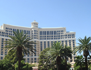 成都麗天星級酒店快猫网址在线观看設備采購項目